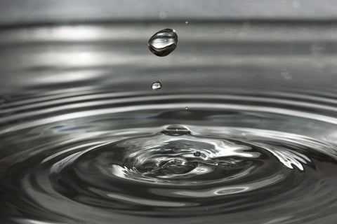 Can You Use A Dishwasher Without Detergent? featured image showing a water droplet in black and white