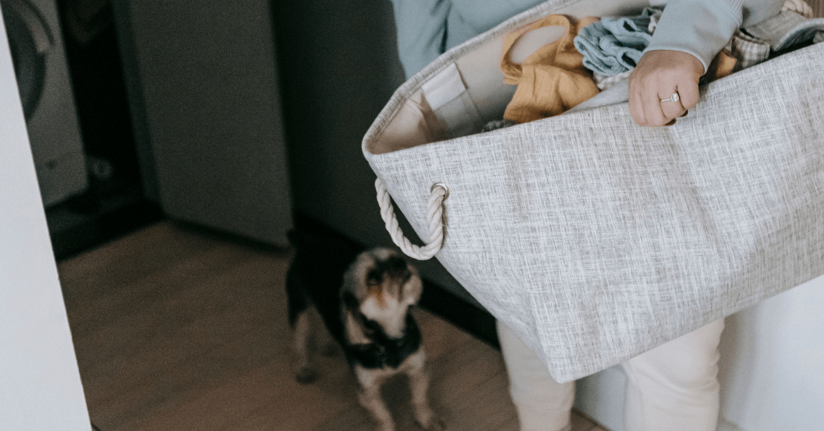 dog blankets in washing basket