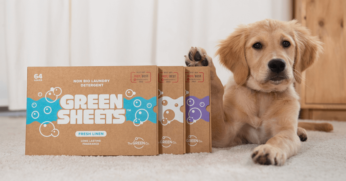dog with laundry detergent greensheets for pet safe cleaning products in the uk